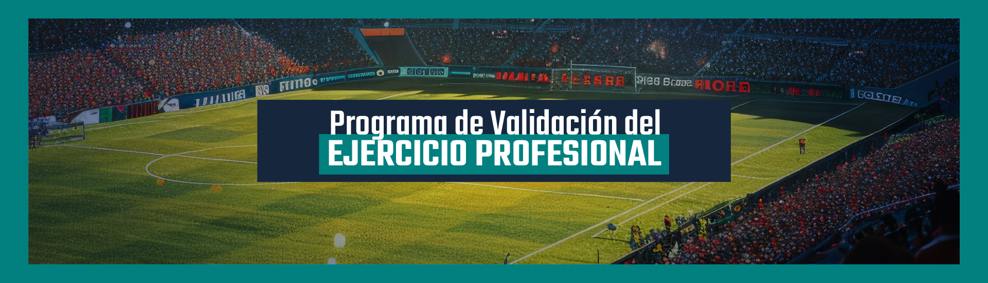 ValidaciónProfesional_General2_web2